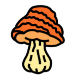 PSYCHEDELICS DRUGS